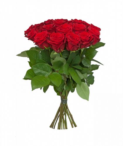 15 красных роз - купить с доставкой по Александрову