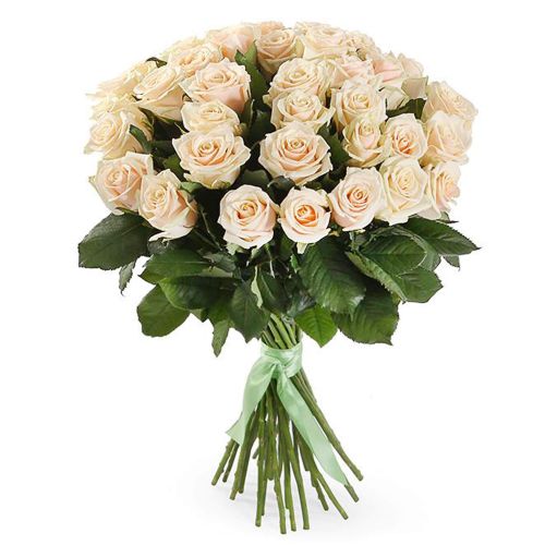 Купить 25 кремовых роз с доставкой по Александрову
